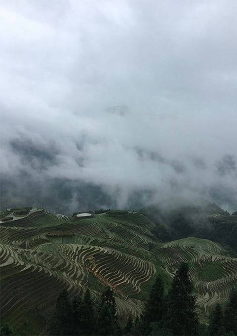 西藏金莱旅行社有限公司驻马店第一网点